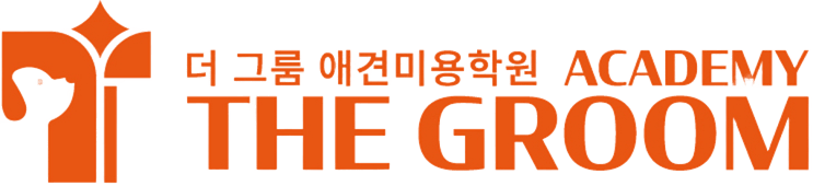 더그룸애견미용학원